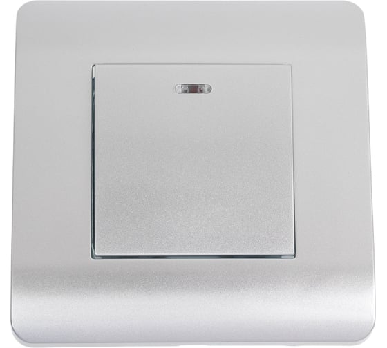 Изображение товара Выключатель 1-клавишный CHINT NEW3-E 10А, с подсветкой, серебро 431393