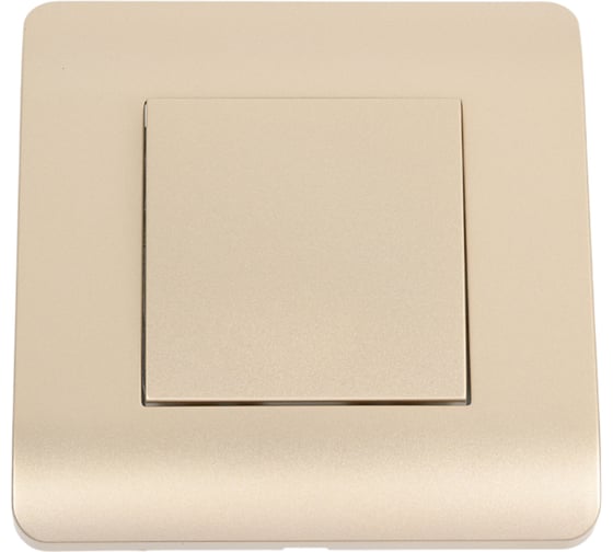 Изображение товара Выключатель 1-клавишный CHINT NEW3-E 10А, шампань 431380