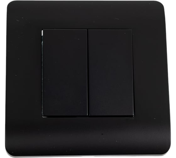 Изображение товара Переключатель 2-клавишный CHINT NEW3-E 10А, черный 431468