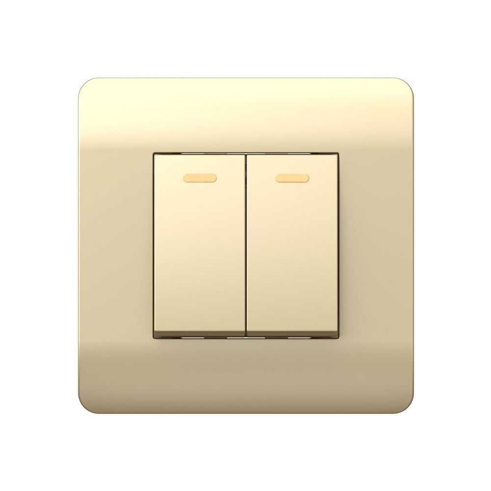 Изображение товара Переключатель 2-клавишный CHINT NEW3-E 10А шампань