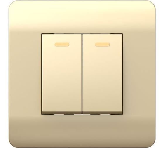 Изображение товара Переключатель 2-клавишный CHINT NEW3-E 10А, шампань 431390