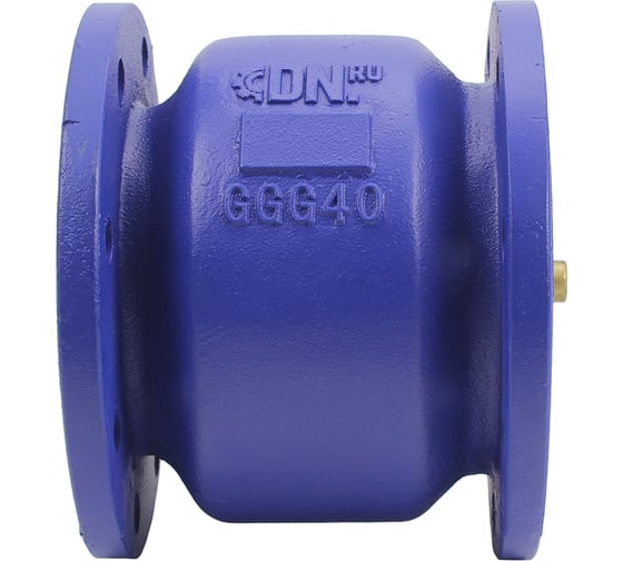 Изображение товара Клапан обратный пружинный DN.ru 402А Ду100 Ру16 фланцевый, чугунный D100-03103