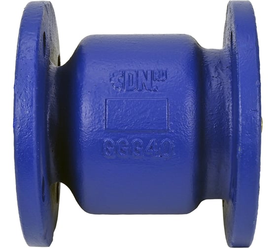 Изображение товара Клапан обратный пружинный DN.ru 402А Ду65 Ру16 фланцевый, чугунный D100-03101