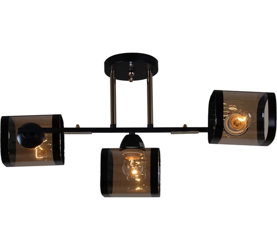 Изображение товара Потолочный светильник Reluce 09063-3.3-03 BK+FG