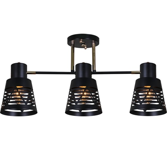 Изображение товара Потолочный светильник Reluce 06074-3.3-03 BK+FG