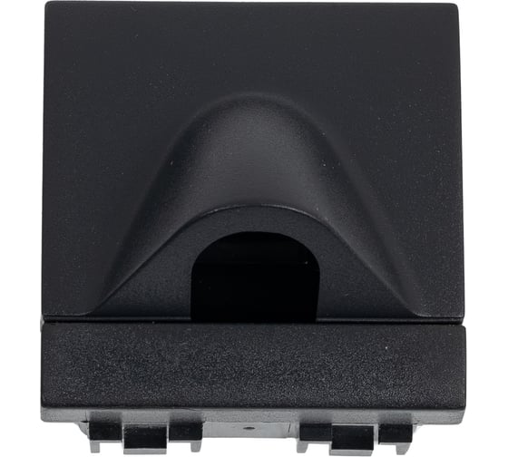 Изображение товара Заглушка Bticino Livinglight с отверстием мм, размер 2 модуля, цвет антрацит L4954