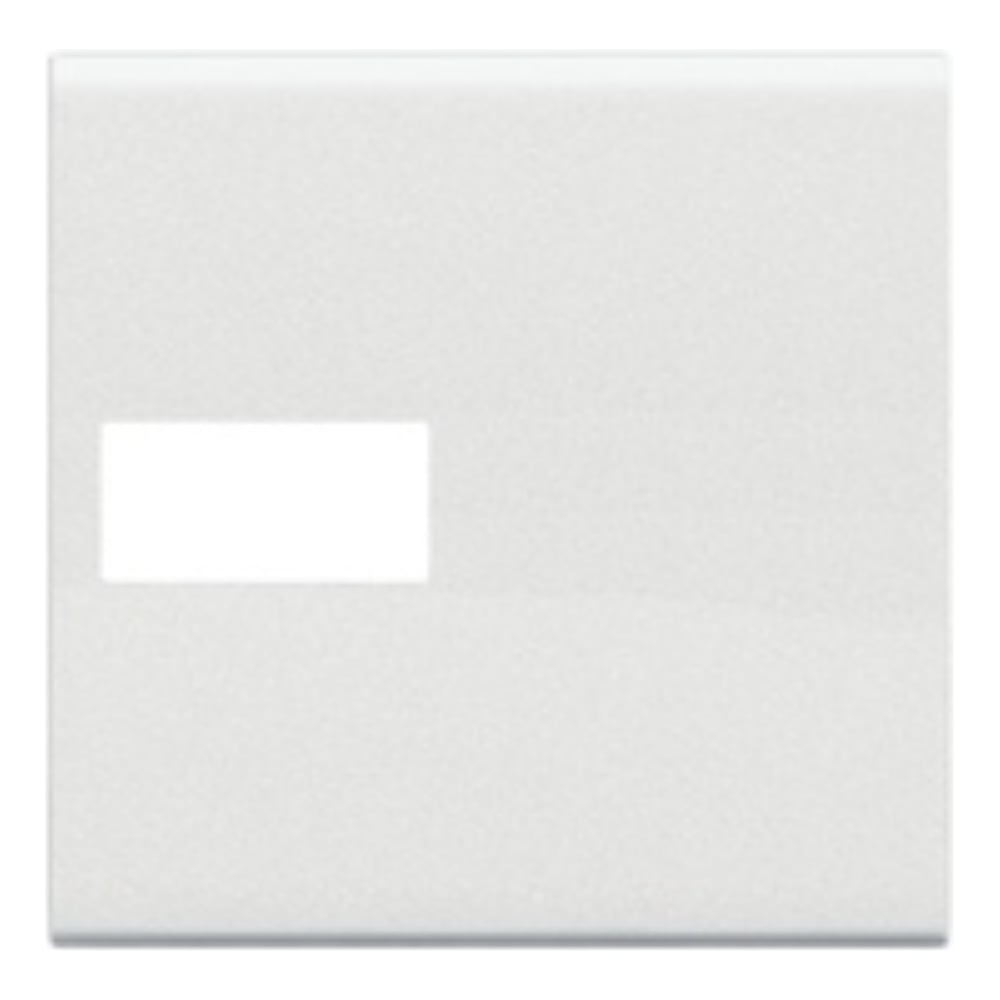 Изображение товара Клавиша Bticino Livinglight Axial с 1 отверстием для вставки символа, размер 2 модуля, цвет белый N4916M2T