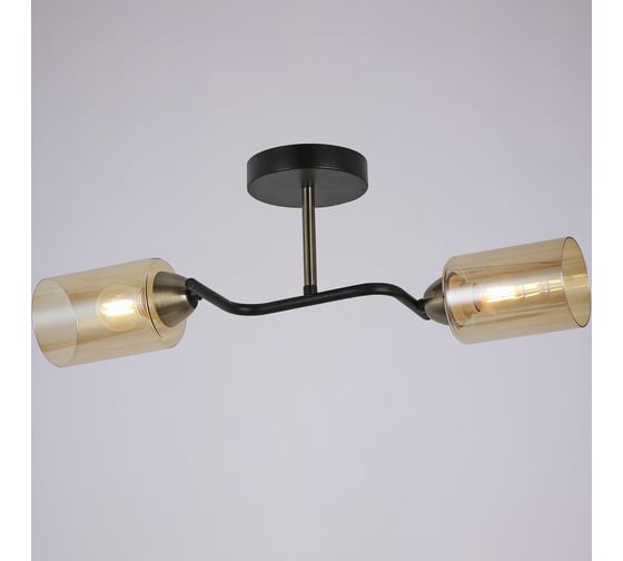 Изображение товара Потолочный светильник ILLUMICO IL8148-2COU-79 BK BR Bice