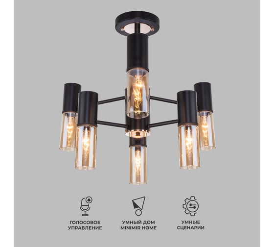 Изображение товара Потолочный светильник Eurosvet, 70125/6 черный a053245