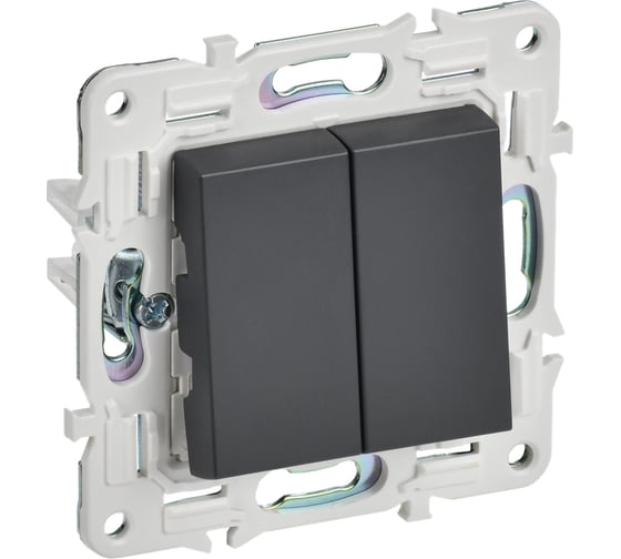 Изображение товара Выключатель 2-клавишный IEK SKANDY SK-V04T 10А, титан SK-V20-0-10-K48