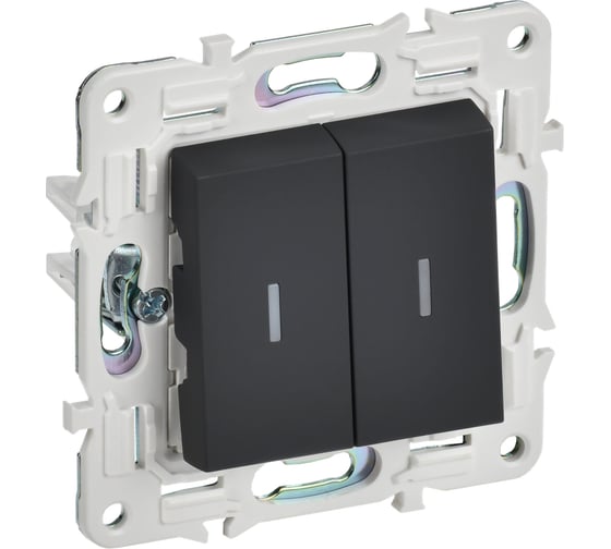 Изображение товара Выключатель 2-клавишный IEK SKANDY SK-V09G с индикацией, 10А, графит SK-V20-1-10-K53