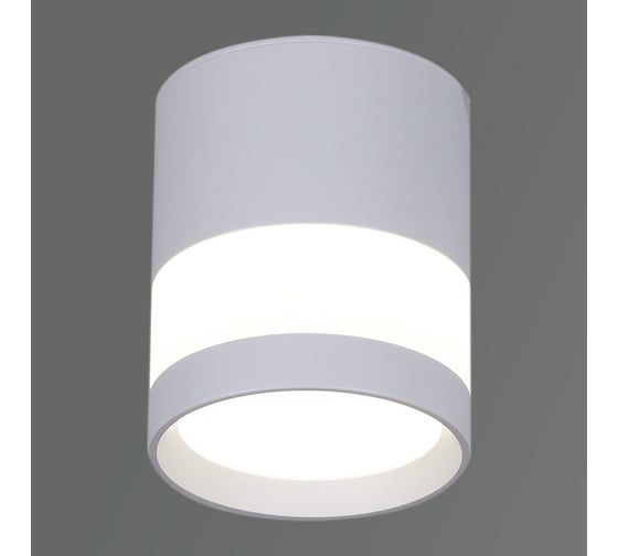 Изображение товара Накладной точечный светильник ReLuce 81154-9.5-001MN LED12W WH