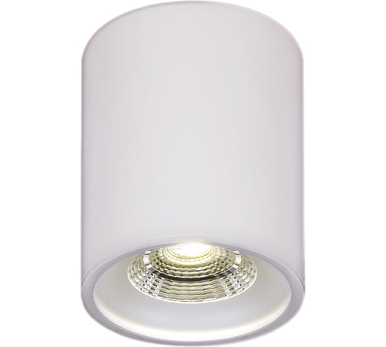 Изображение товара Накладной точечный светильник ReLuce 81117-9.5-001RT LED10W WT