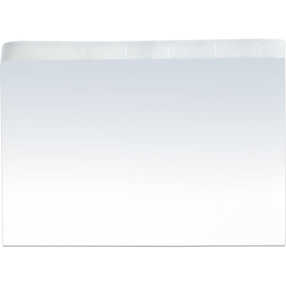 Изображение товара Пакет для сопроводительных документов ОФИСМАГ полиэтилен 225х165 мм 250 шт