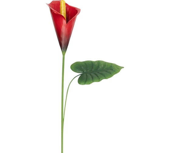 Изображение товара Штекер садовый PARK Калла Ред Алерт 108840