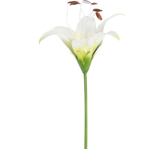 Изображение товара Штекер садовый PARK Лилия Аполло 108842