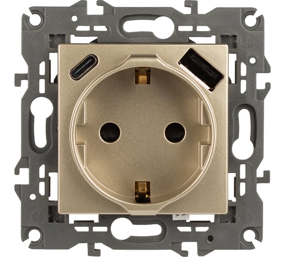 Изображение товара Розетка ЭРА Elegance 14410804 со шторками, 2PE 16A250В, с USB typeAC 5В3А, шампань Б0067740