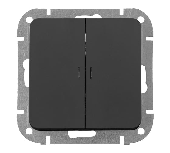 Изображение товара Механизм выключателя 2-клавишный Bylectrica проходной, СУ серия АСТРУМ, карбон С(6+6) 10-3563 карбон