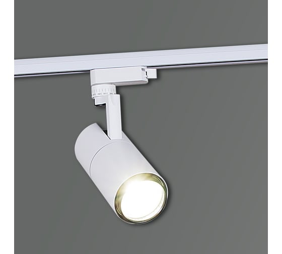 Изображение товара Трековый светодиодный светильник ReLuce 06720-9.3-001QY LED20W WT