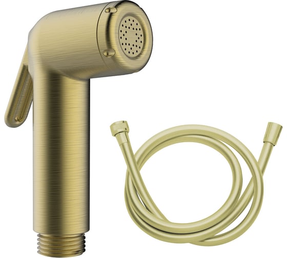 Изображение товара Гигиенический набор Clever TOUBKAL брашированное золото 62221