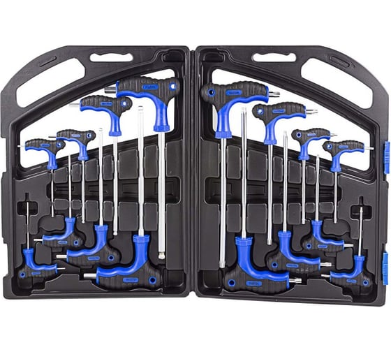 Изображение товара Набор ключей Forsage Т-образных TORX/6-гранныхс шаром, 16 предметов (Н:2,2.5х75, 3,4х100, 5,6х150, 8,10х200мм; Т:10,15х75, 20,25х100, 30,40х150, 45,50х200мм), в кейсе F-5166B(25645)