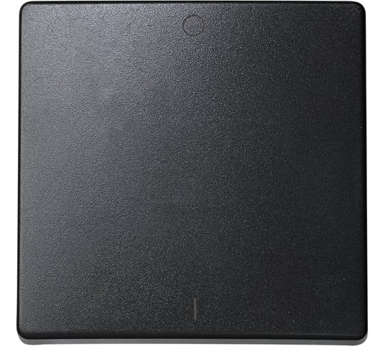 Изображение товара Клавиша Simon для выключателя двухполюсного, S73 Loft, графит 73023-62