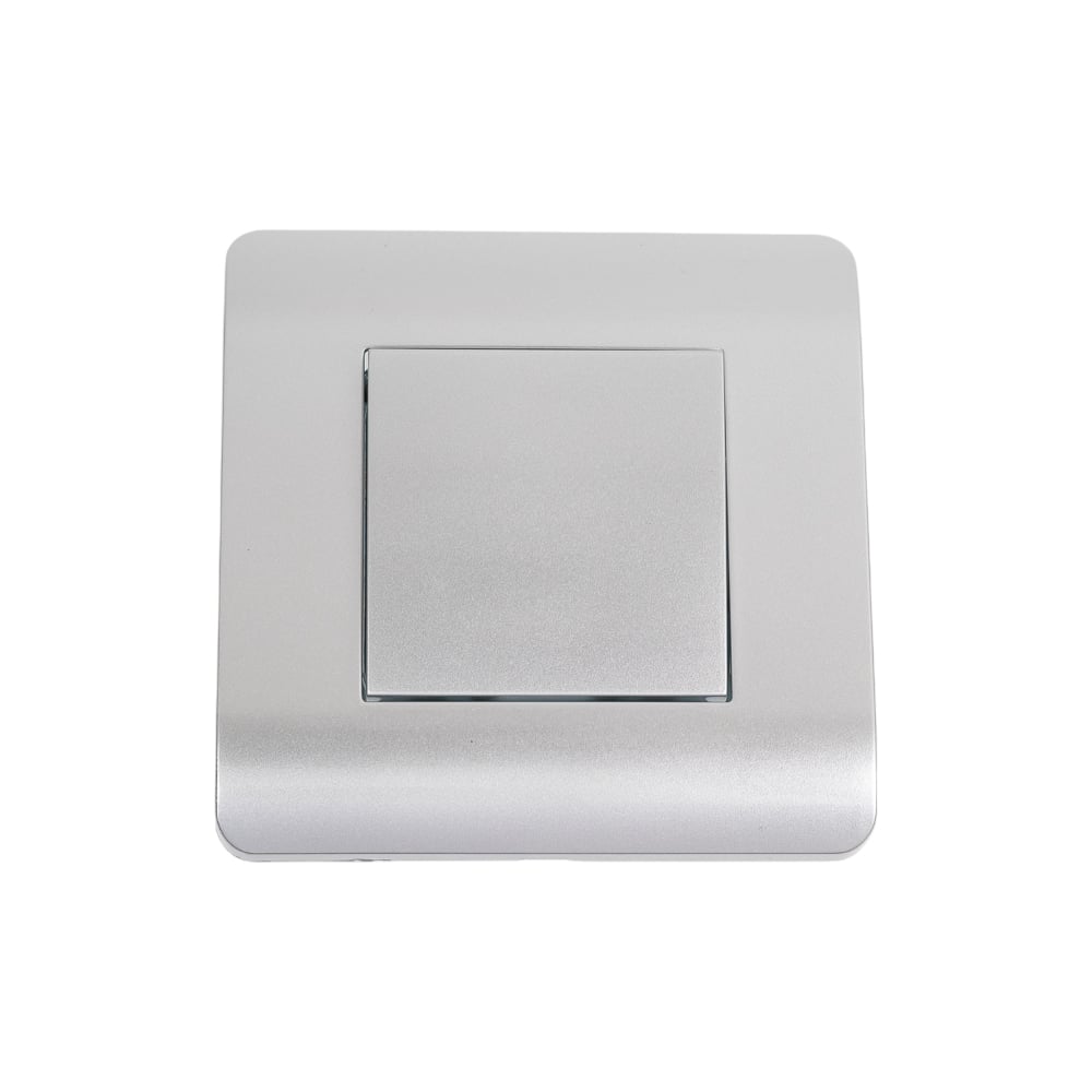 Изображение товара Выключатель 1-клавишный CHINT NEW3-E 10А серебристыйдля освещения