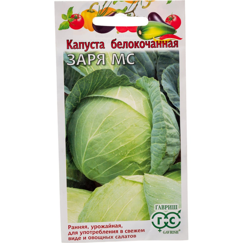 Семена ГАВРИШ 1071862951
