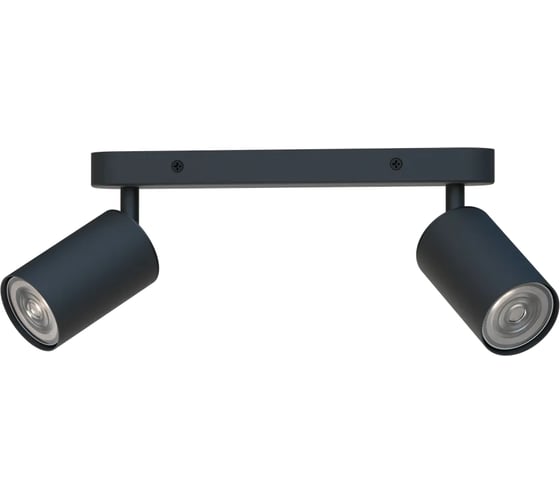 Изображение товара Светильник truEnergy накладной двойной поворотный под лампы 2xGU10 круг черный металл 21360