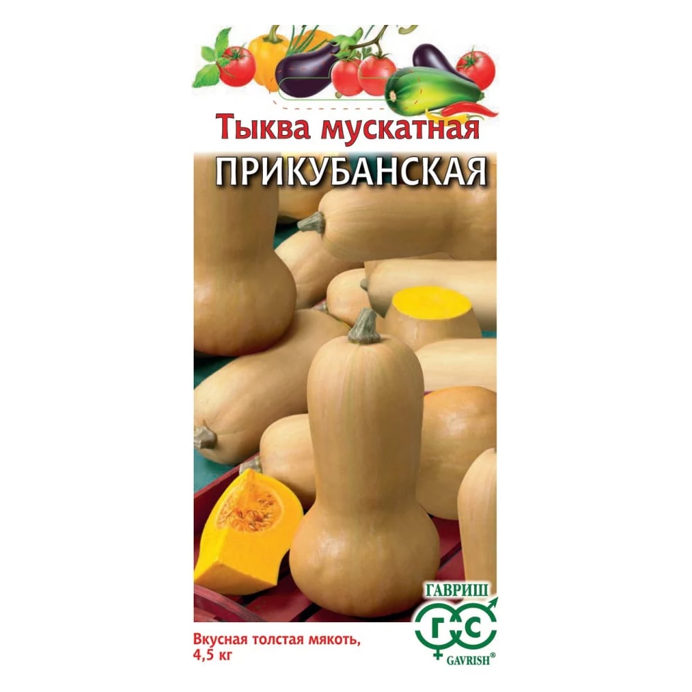Семена ГАВРИШ 10711656