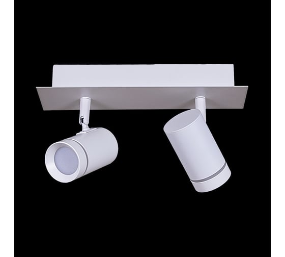 Изображение товара Встраиваемый спот Reluce 84281-9.5-002RT LED2*5W WT