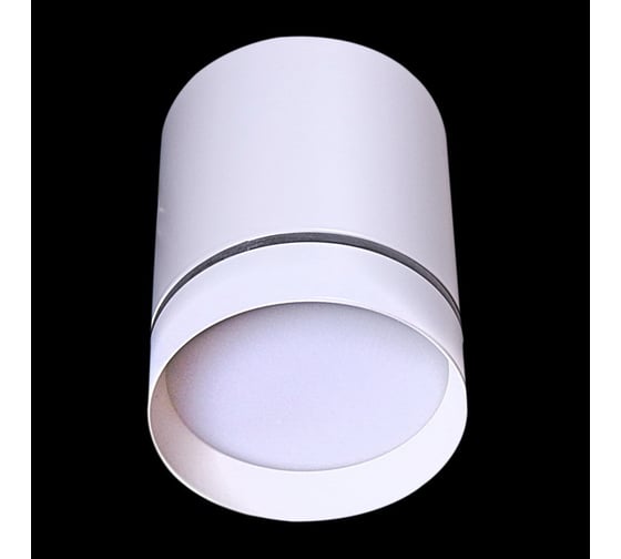 Изображение товара Накладной точечный светильник Reluce 16133-9.5-001RT MR16 WT