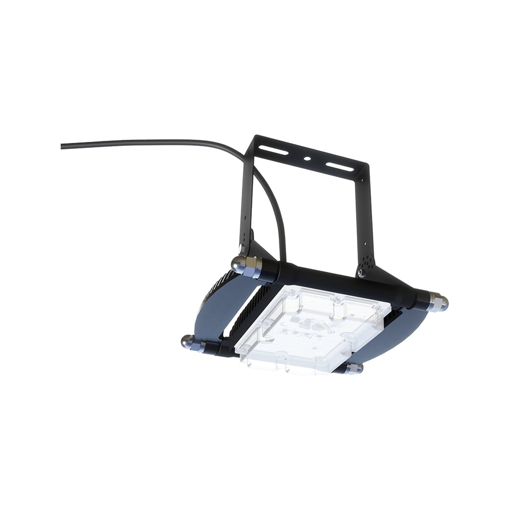 Изображение товара Прожектор светодиодный ALB ДСП 49W IP66 с креплением и прозрачным рассеивателем