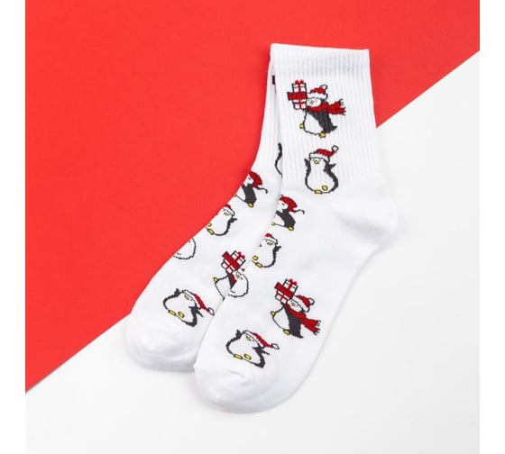 Изображение товара Носки женские KAFTAN "Сеговики" размер 36-40 (23-25 см) 5189278