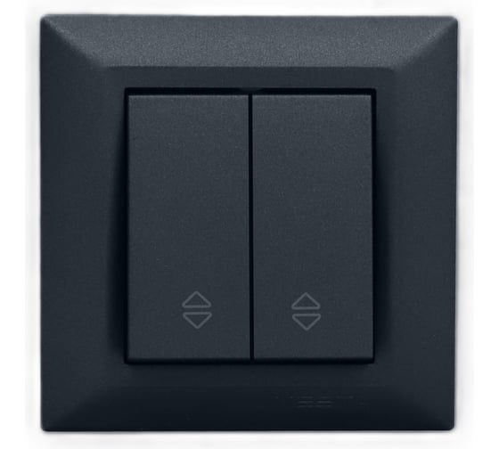 Изображение товара Выключатель Metronex Electric Roma Grafit двуклавишный реверсивный FVK010203GRA