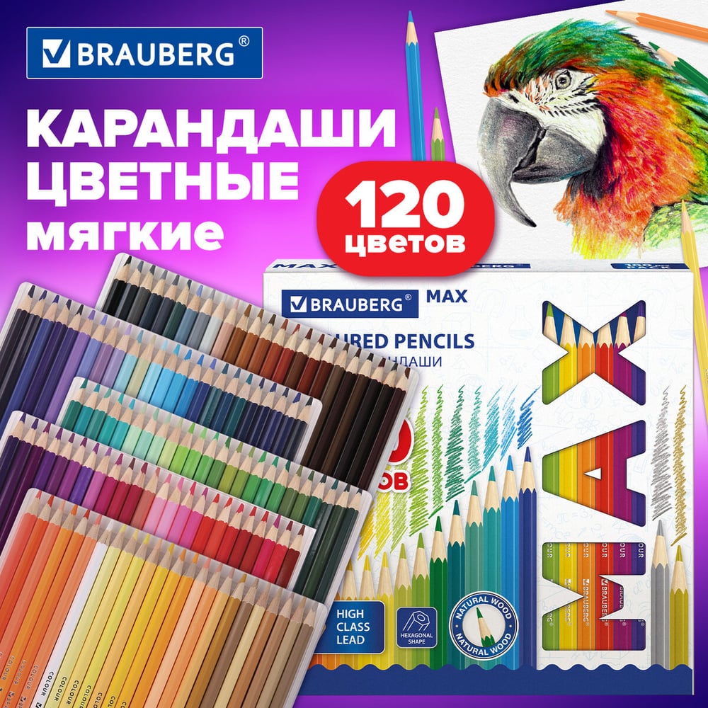 Изображение товара Карандаши цветные BRAUBERG супермягкие 120 цветов