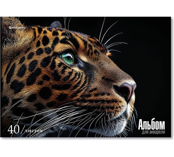 Изображение товара Папка для акварели BRAUBERG А4, 40 л, бумага 200 г/м2, склейка, обложка картон, Леопард, 107130