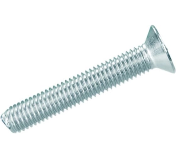 Изображение товара Винт ЦКИ ~DIN965 М6x110 Ц аналог ГОСТ 17475-80 2 шт. 5367119