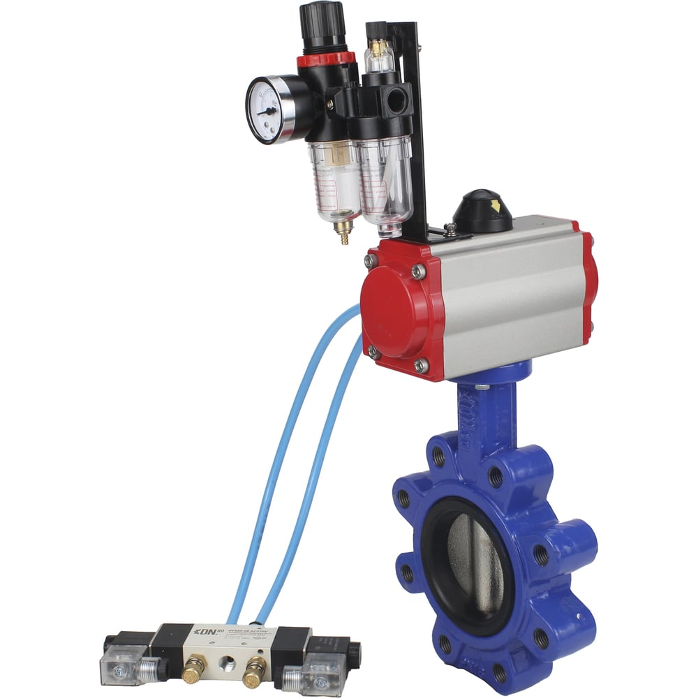 Изображение товара Затвор DN.ru QT450-304-EPDM-2W-Fb-H Ду50 Ру16 Профессиональный