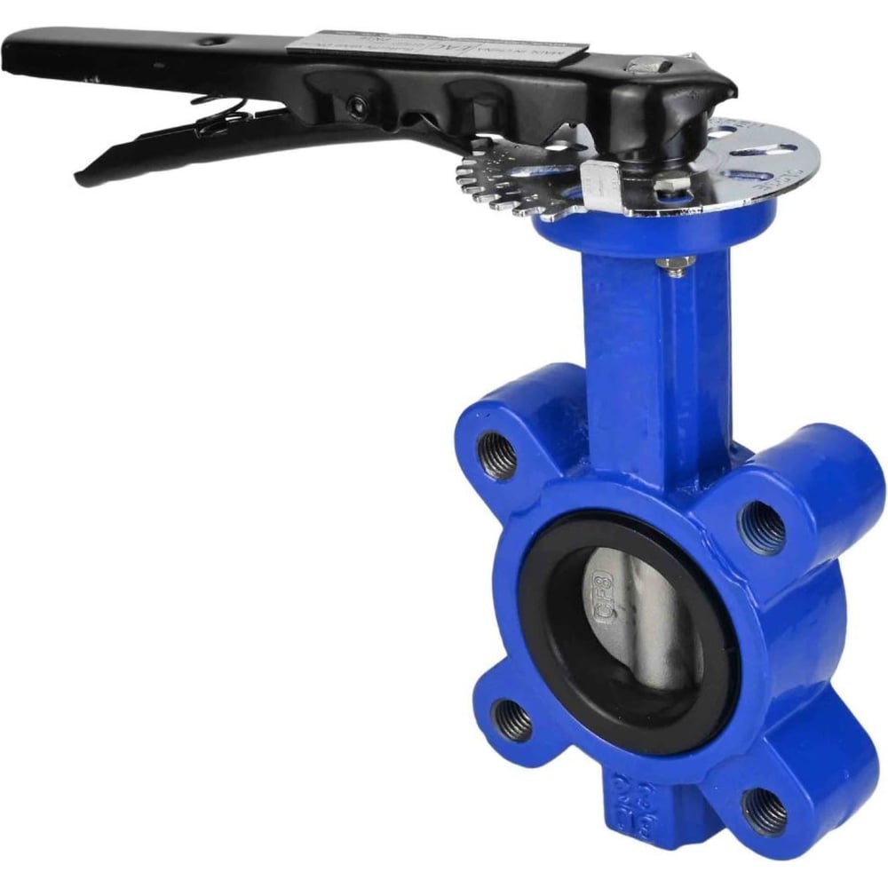 Изображение товара Дисковый затвор DN.ru поворотный QT450-304-EPDM-2W-Fb-H Ду150 Ру16