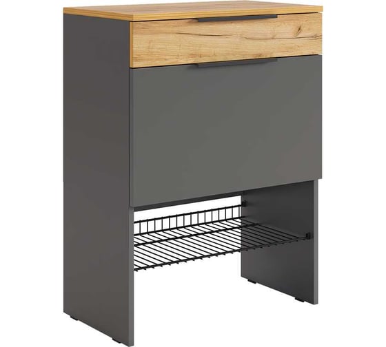 Изображение товара Обувница ИП Щербаков А.Н. Баско графит/дуб крафт золотой 173780.3319