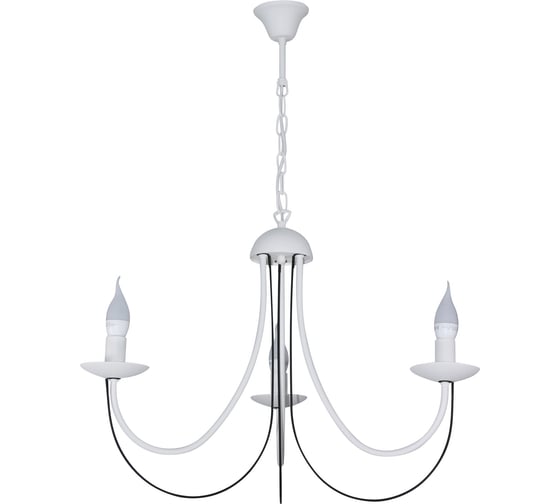 Изображение товара Светильник подвесной ЭЛЕТЕХ "Астра" 231 белый муар черный муар НСБ 01-3x60-179 Е14 _ИМ_ 1005405421