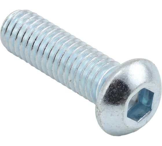 Изображение товара Болт с закругленной головкой для профилей DOGUS KALIP упаковка 20 штук 2.1.011.06.25.20