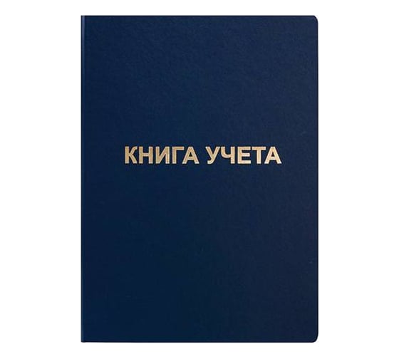 Изображение товара Книга учета INFORMAT 96 листов, клетка, офсет, А4, бумвинил, вертикальная, синий KYA4-BV96K/LIN