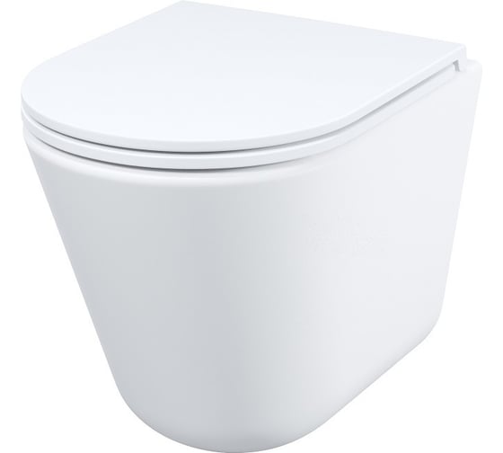 Изображение товара Унитаз подвесной безободковый IDDIS Ray RAYRDSEi25