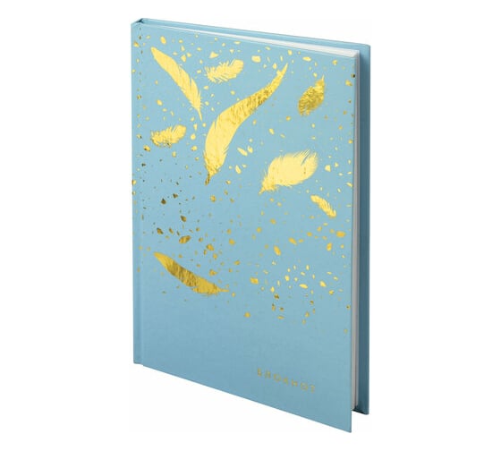 Изображение товара Блокнот 20 шт в упаковке Staff А5 (135х206мм) 80л твердый тиснение фольгой Пёрышки  111610