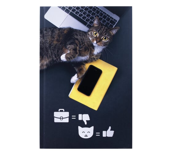 Изображение товара Блокнот 20 шт в упаковке Staff А5 (135х206мм) 80л твердый выборочный лак клетка Милый котик 111603