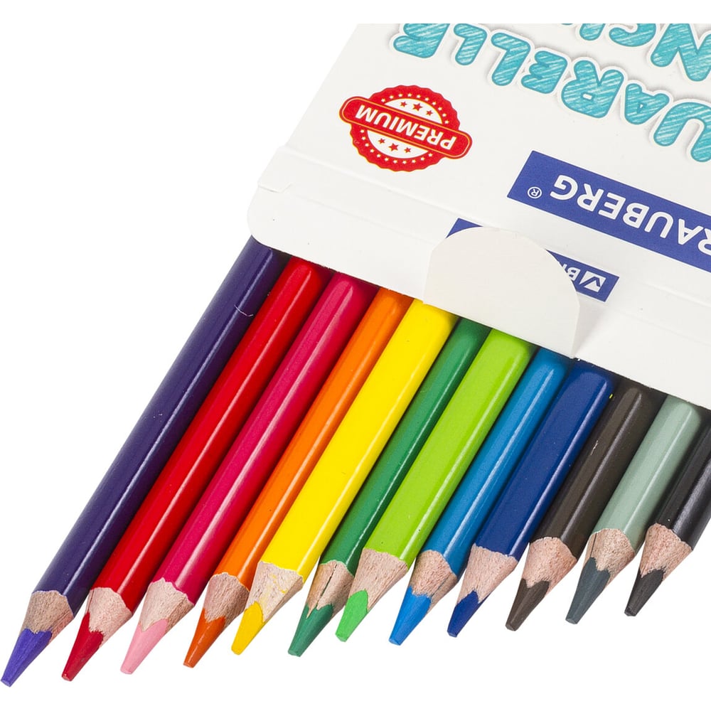 Изображение товара Цветные акварельные карандаши BRAUBERG PREMIUM AQUARELLE 12 цветов мягкий грифель