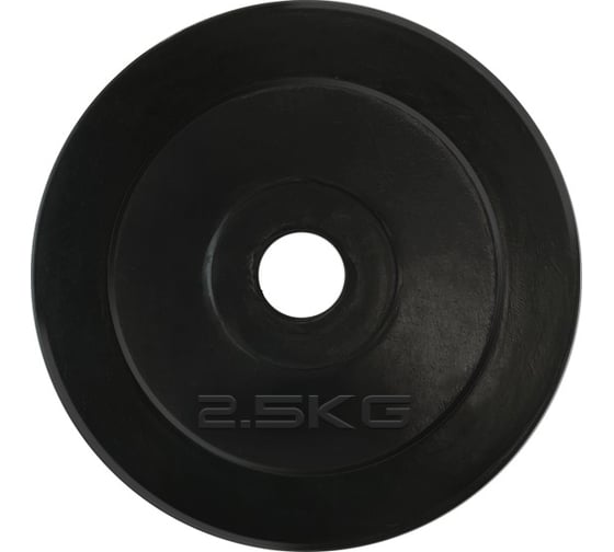 Изображение товара Диск обрезиненный UNIXFIT 2.5 кг, 25 мм DU2500RUB