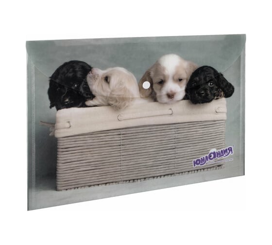 Изображение товара Папка-конверт 12 шт в упаковке ЮНЛАНДИЯ с кнопкой "Щенки" А4 160 мкм до 100 листов цветная печать  228050